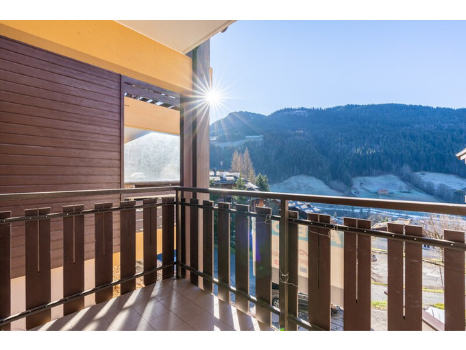 Nos appartements à la vente 2 pièces Immobilier au Grand-Bornand 31m2