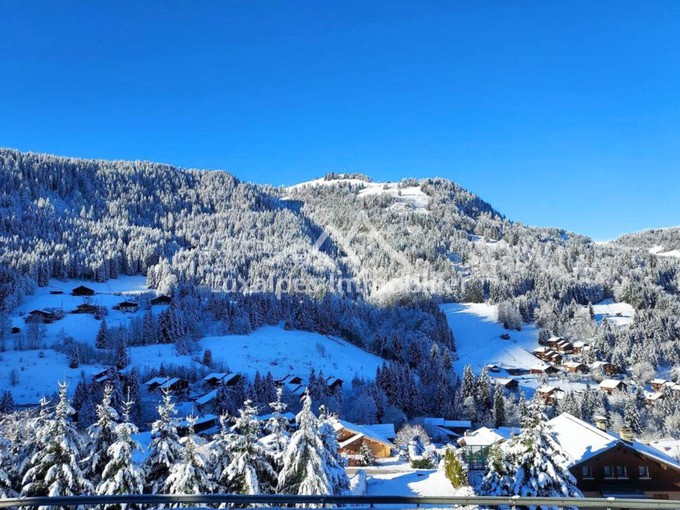 Nos appartements à la vente 2 pièces Immobilier à La Clusaz 24m2