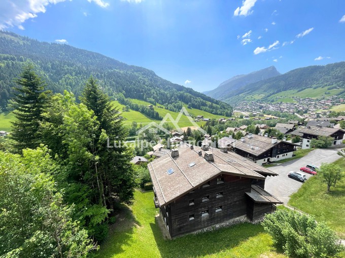 Nos appartements à la vente 2 pièces Immobilier au Grand-Bornand 27m2