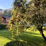Nos appartements à la vente 1 pièce Immobilier à Thônes 23m2