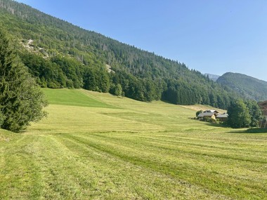 Terrain d'exception constructible et viabilisé à Saint-Jean-De-Sixt