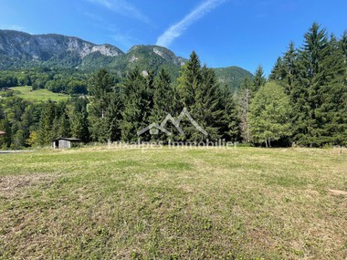 Terrain plat constructible & viabilisé d'environ 4 000 m²