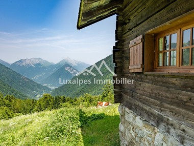 Chalet d'alpage traditionnel savoyard en très bon état