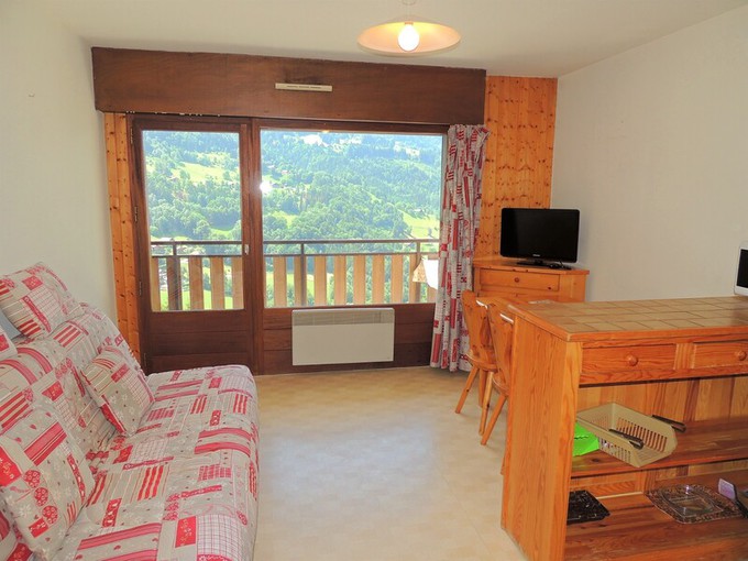 Nos appartements à la vente 1 pièce Immobilier à Villards-Sur-Thones 25m2