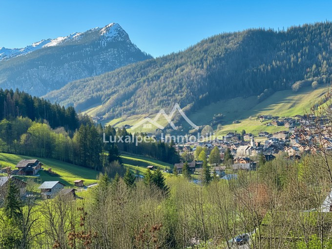Nos appartements à la vente 1 pièce Immobilier au Grand-Bornand 20m2